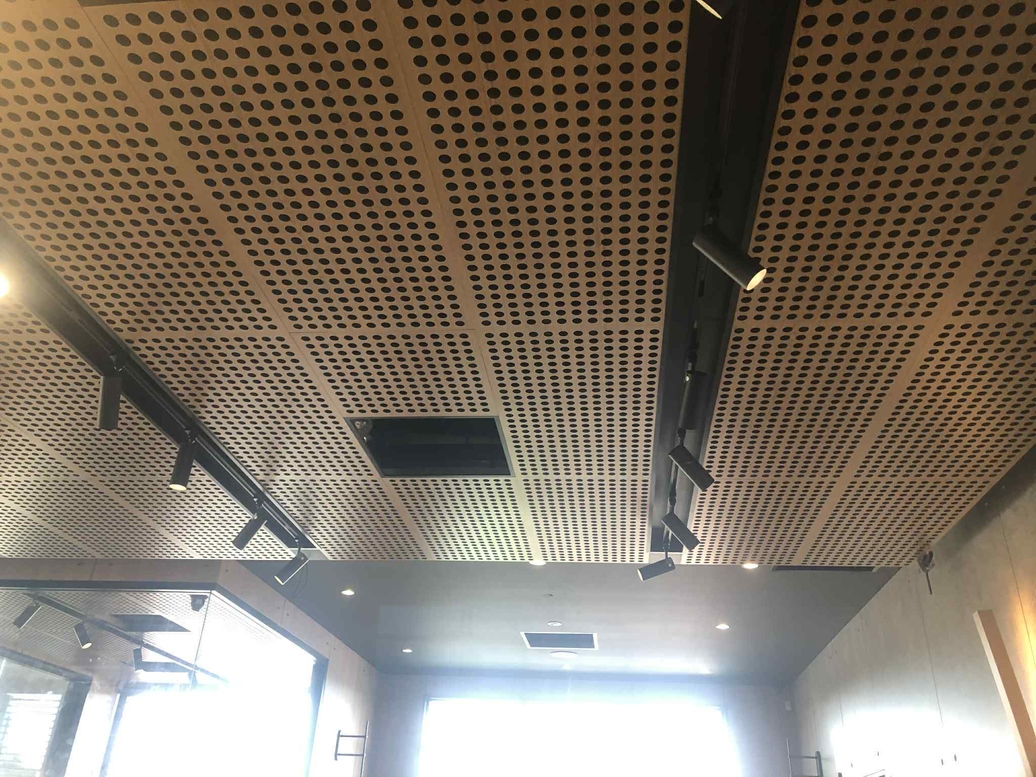 The Ceiling Guys - Professional Ceiling Installation & Repair Services